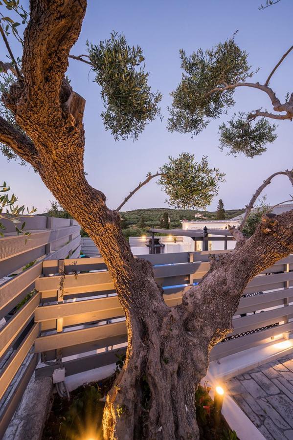 B&M Villas Metochi Siriliou Εξωτερικό φωτογραφία